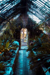 Kış Bahçeleri Maliyet mi, Yatırım mı